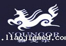 雅戈尔