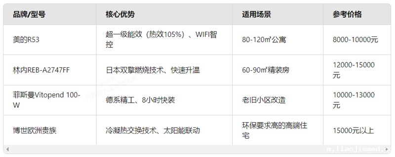 壁挂炉品牌冬季集中供暖替代方案：小户型的温暖革命