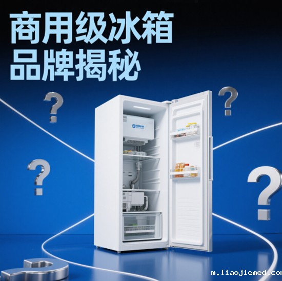 商用级冰箱品牌揭秘：酒店后厨都在用的硬核装备
