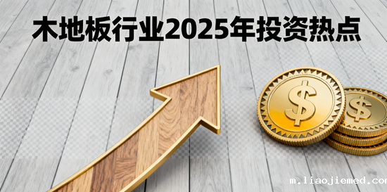 木地板行业2025年投资热点：健康功能性地板赛道布局
