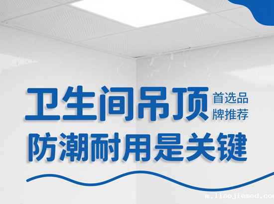 卫生间吊顶首选品牌推荐：防潮耐用是关键