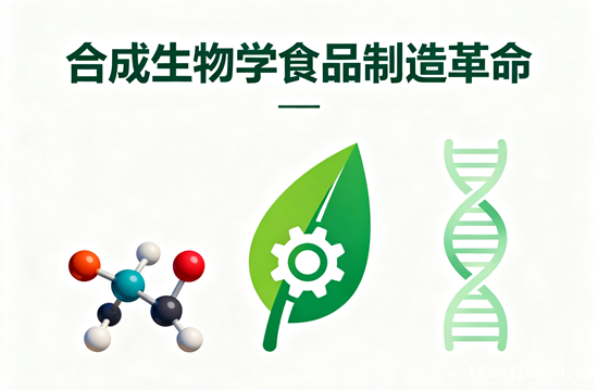 合成生物学食品制造革命：精密发酵生产动物蛋白能耗降96%