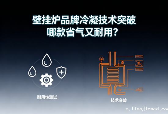 壁挂炉品牌冷凝技术突破：哪款省气又耐用？